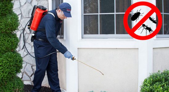Doğançay Tahtakurusu İlaçlama böcek ilaçlama ve haşere kontrolü — ilaclama-tr.com
